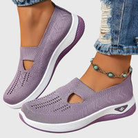 Viola